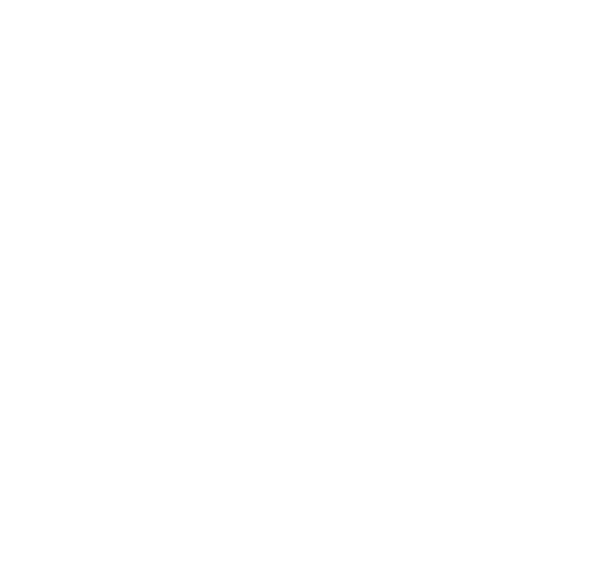 Telefon_Icon